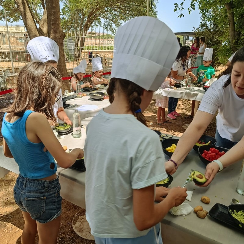 villa indiano. taller de cocina infantil VISITA AL TANCAT DE LA D.O. ARROS DE VALENCIA. Y COMIDA EN LLISA NEGRA DE QUIQUE DACOSTA